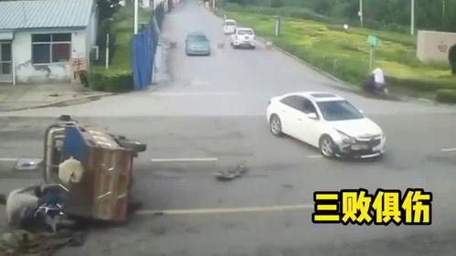 汽车司机吃瓜,揭秘汽车行业背后的趣味故事