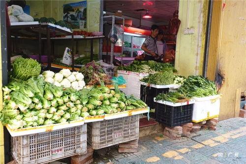 广州龙洞吃瓜,夏日吃瓜圣地，尽享清凉美食之旅