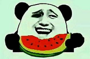 吃不懂瓜,探寻网络流行语的奥秘与影响