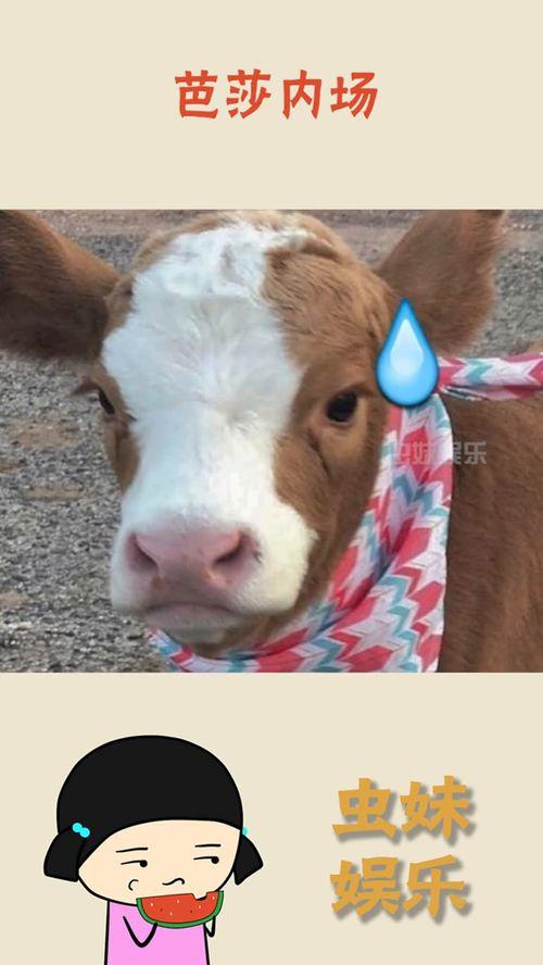 抖音弟弟吃瓜,弟弟吃瓜，萌态十足，网友直呼可爱爆表！