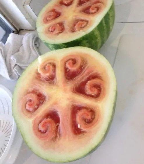 吃瓜干饭写大字,揭秘网络时代的娱乐与生活新风尚