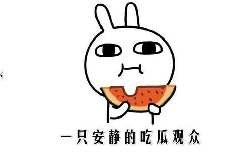 观众吃瓜群众,娱乐圈最新热点事件盘点